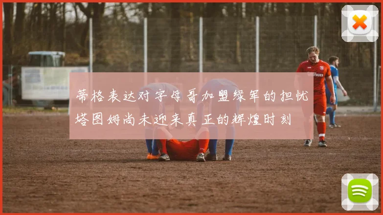 蒂格表达对字母哥加盟绿军的担忧塔图姆尚未迎来真正的辉煌时刻