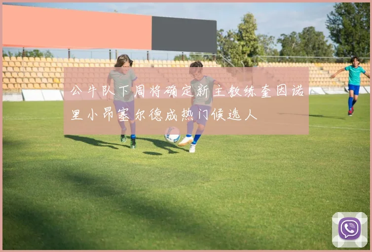 公牛队下周将确定新主教练奎因诺里小昂塞尔德成热门候选人