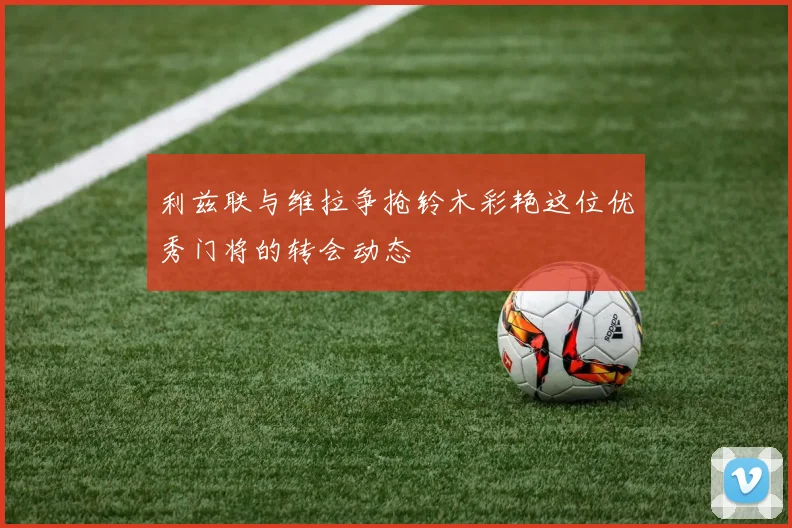 利兹联与维拉争抢铃木彩艳这位优秀门将的转会动态