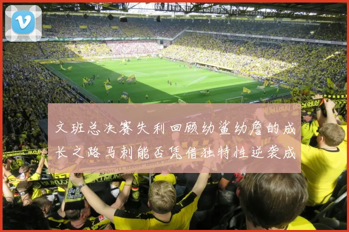 文班总决赛失利回顾幼鲨幼詹的成长之路马刺能否凭借独特性逆袭成功