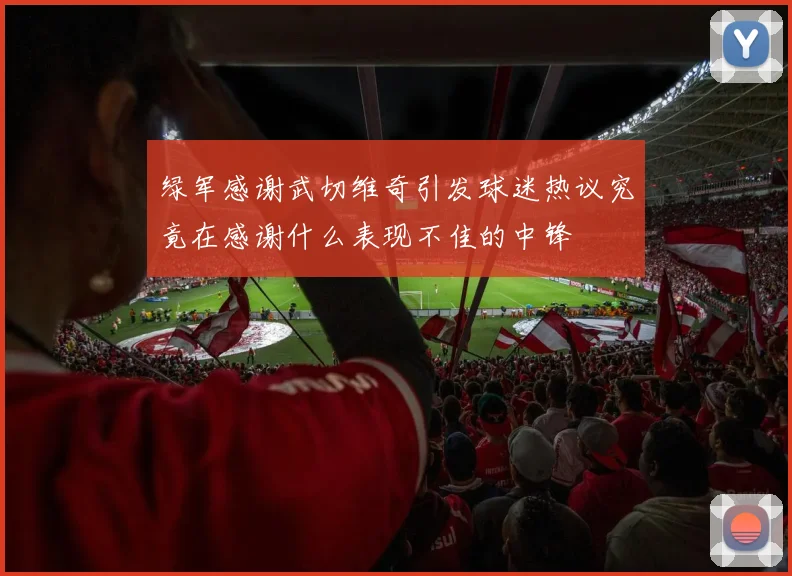 绿军感谢武切维奇引发球迷热议究竟在感谢什么表现不佳的中锋